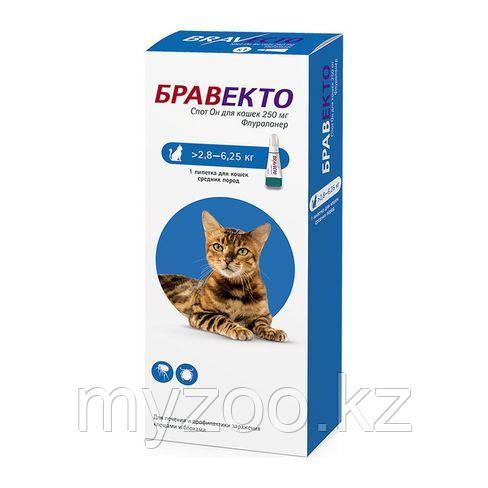 Бравекто Капли для кошек, 2,8-6,25 кг