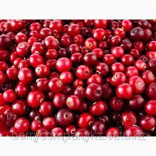 Брусника замороженная - фото 1 - id-p75189437