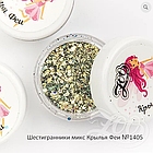 Шестигранники микс "Крылья феи" в ассортименте (1397-1405) ZOO, 2 грамма, фото 7