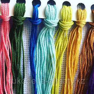 Қынаптың әртүрлі түрлерінің суреттері