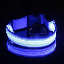 Светодиодный ошейник для собак usb, цвет голубой, размер M, фото 2