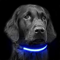 Светодиодный ошейник для собак usb, цвет голубой, размер M, фото 3