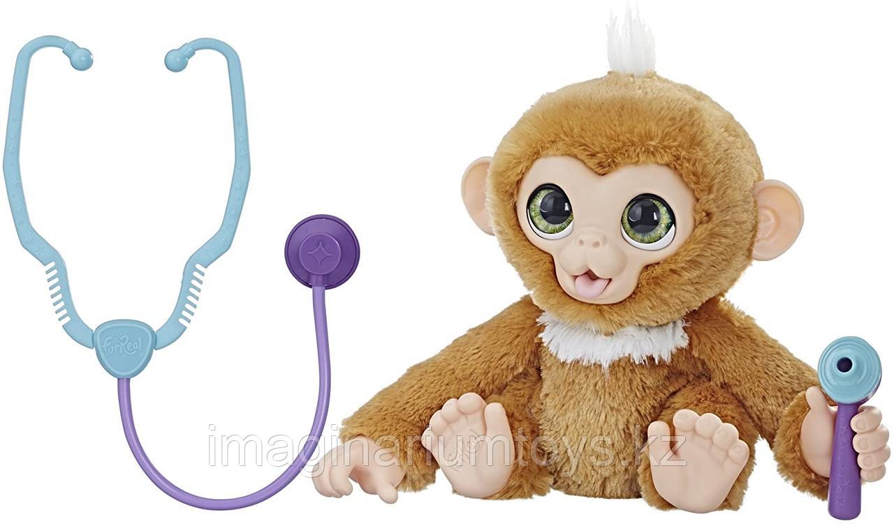 FurReal Freands Вылечи обезьянку интерактивная игрушка Фурриал