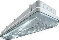 Промышленный светильник 30 Ватт TL-ЭКО 236/30 PR IP65 (S5E)