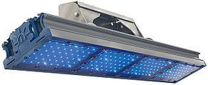 Архитектурно - парковый светильник 200 Вт TL-PROM 200 PR Plus FL (Г) Blue