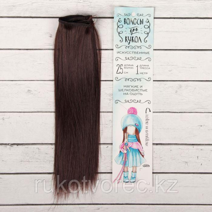 Волосы - тресс для кукол 'Прямые' длина волос 25 см, ширина 100 см - фото 1 - id-p75526979