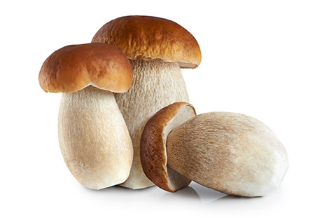 Белые грибы замороженные 4-6 см - фото 1 - id-p75614081