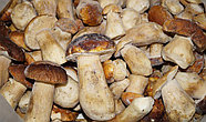 Белые грибы замороженные 4-6 см, фото 3