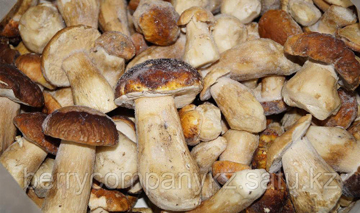 Жынды шұжық порно