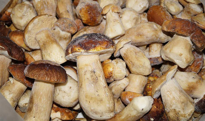 Купить замороженные грибы в Казахстане.