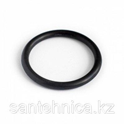 Уплотнительное кольцо для ПНД фитинга Дн 25 - фото 1 - id-p74970666