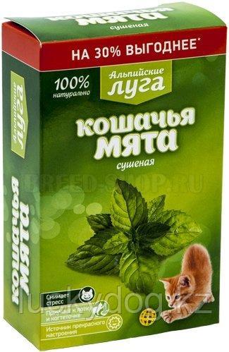 Экопром Альпийские луга Кошачья мята сушеная 20г - фото 1 - id-p75623361