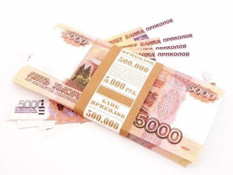 Деньги сувенирные бутафорские «Котлета бабла» (Бубли), фото 2