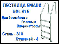 Тұзды хлораторы бар бассейнге арналған Emaux NSL415 баспалдағы (4 қадам)