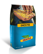 DKC 5741 "Monsanto" (DEKALB)