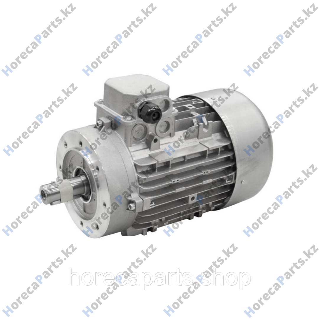 12023194 / P635906000 Мотор для стиральной машины 3-полярн. 230В 50/60Гц 2800об/мин