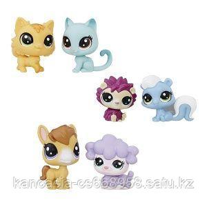 Hasbro Littlest Pet Shop Набор, 2 пета.