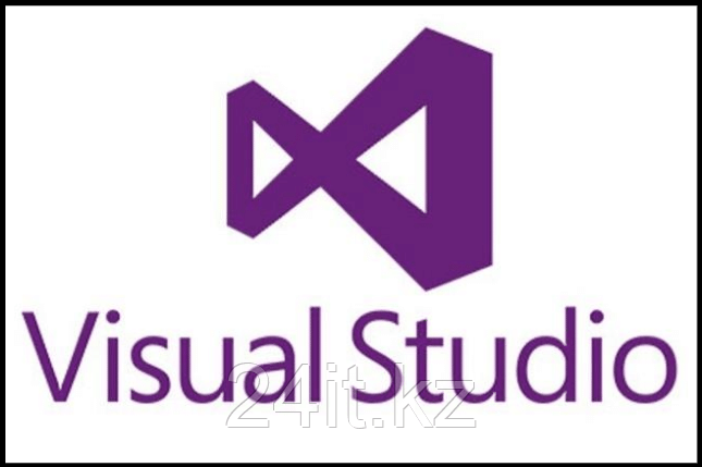 Visual Studio Professional 2022 (для организаций образования)
