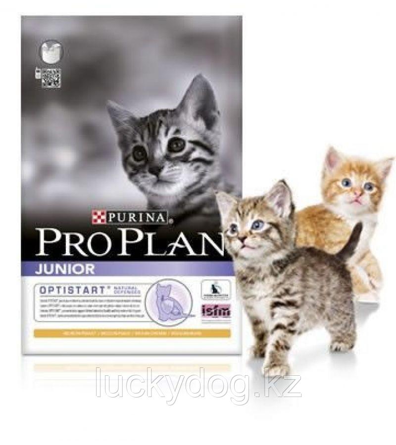 PRO PLAN для котят ИНДЕЙКА, 1,5кг, Kitten