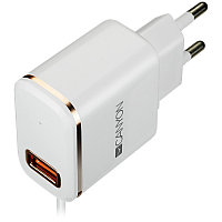 CANYON Universal 1xUSB AC charger (in wall) with over-voltage protection, plus lightning USB connect