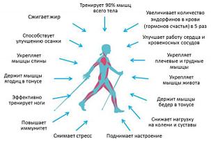 Палки телескопические для скандинавской ходьбы 2 шт. Ликвидация склада с летними товарами, фото 2