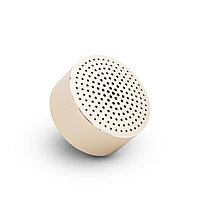 Колонка портативная Xiaomi LittleAudio FXR4039CN (Gold)