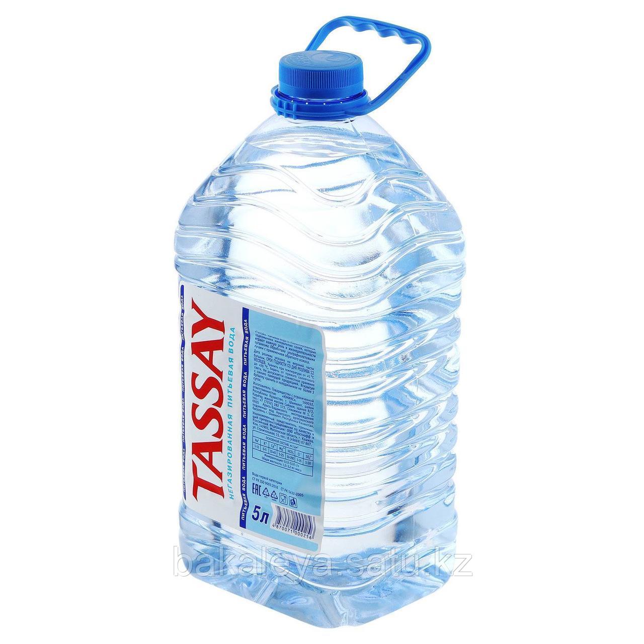 Вода «TASSAY» 5 л