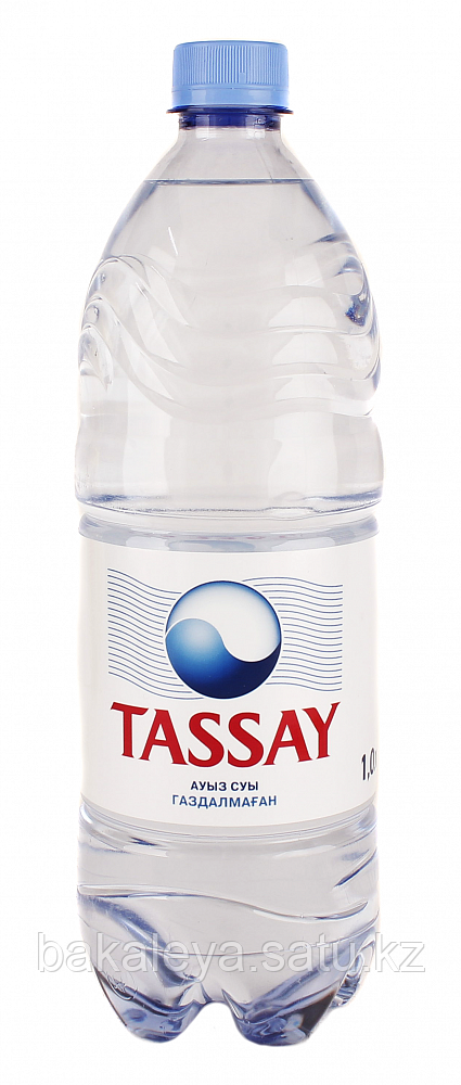 Вода «TASSAY» 1 л
