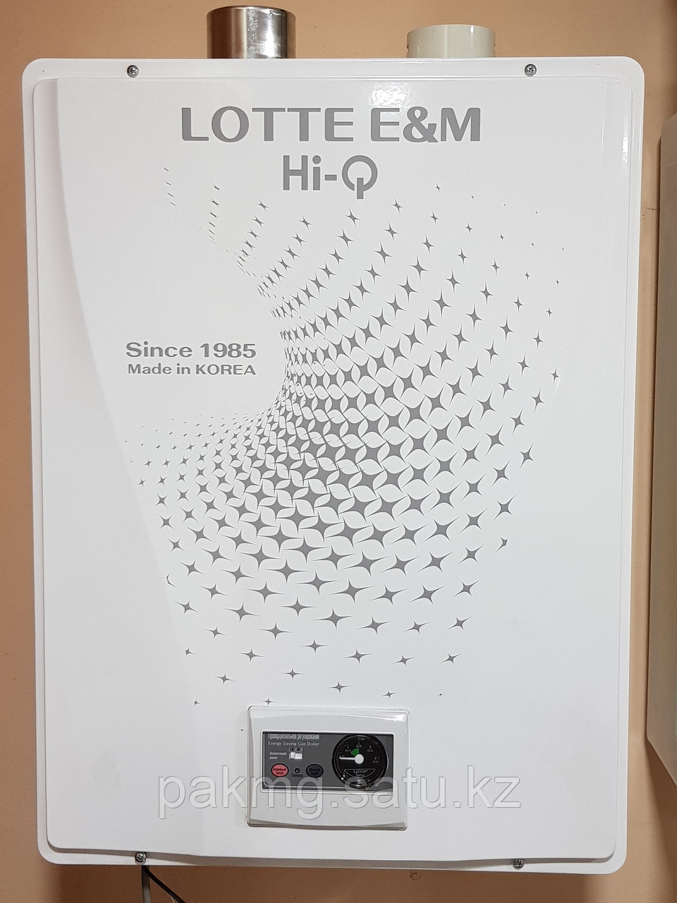 Газовый котел Lotte Hi-Q RGB-F166 RC 80-180 кв.м.