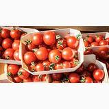 Оптовая продажа томатов, фото 2
