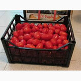 Оптовая продажа томатов, фото 5