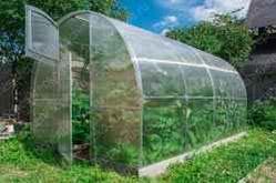 Оптовая продажа петрушки