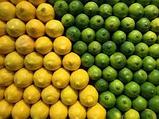 Лимон оптом, фото 5