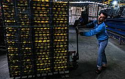 Лимон оптом