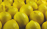 Лимон оптом, фото 10