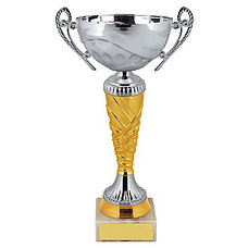 Кубки эконом класса