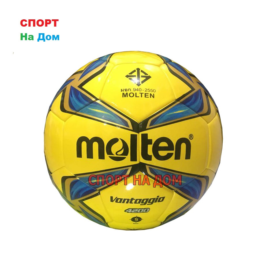Оригинальный футбольный мяч Molton Vontaggio 4200 (глянцевая кожа) - фото 1 - id-p75843069