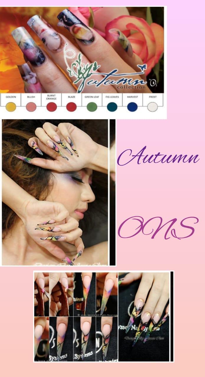 Коллекция цветных акрил Autumn (осень) Odyssey Nails Systems