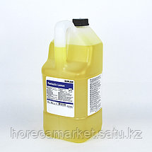 Пантастик лемон (5кг) / Pantastik Lemon, фото 3