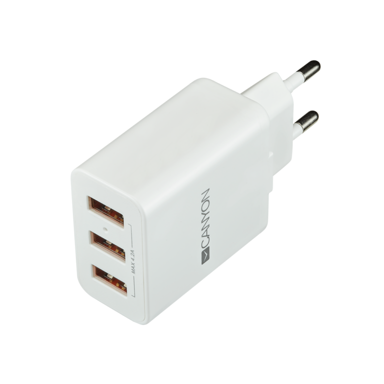 Сетевое зарядное устройство высокой мощности Canyon мульти-USB CNE-CHA05W (White)