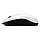 Мышь Genius DX-120 (White), фото 3