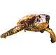 Наклейка Черепаха на алькорплан ( ПВХ пленка), фото 2