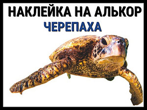 Наклейка Черепаха на алькорплан ( ПВХ пленка)