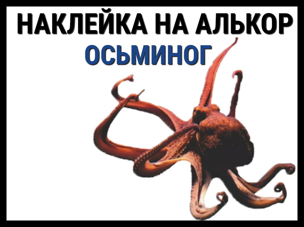 Наклейка Осьминог на алькорплан ( ПВХ пленка), фото 1
