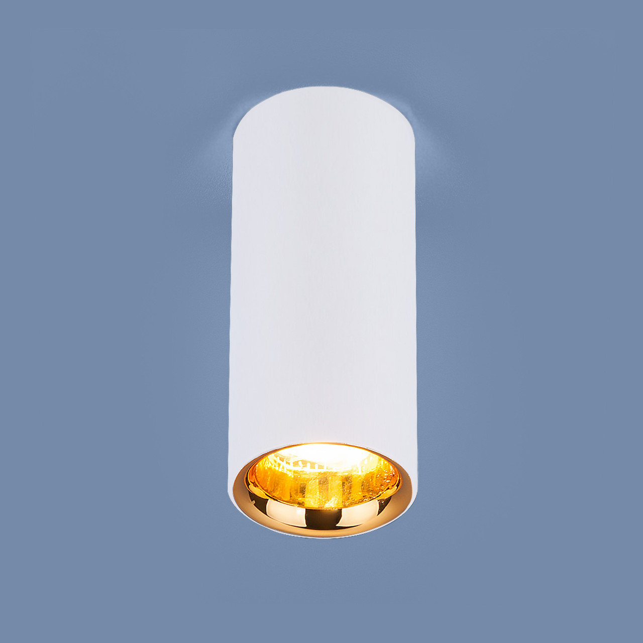 Светильник светодиодный стационарный белый матовый золото DLR030 12W 4200K - фото 1 - id-p75503961