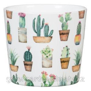 Горшок керамика для Кактусов 870/07 | Scheurich