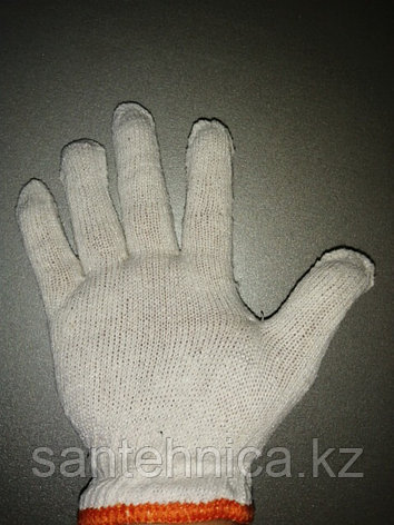Қолғап /Перчатки синтетика тонкие (12), фото 1