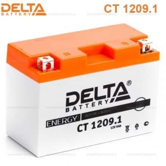 Аккумулятор Delta CT 1209.1 (12V / 9Ah) [YT9B-BS] - фото 1 - id-p75927571