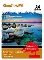 Фотобумага А4 GIANT IMAGE GI-A426020W 20 Л. 260 Г/М2 ткань TAK14287 Фотобумага А4 GIANT IMAGE GI-A426020W 20 Л. 260 Г/М2 ткань