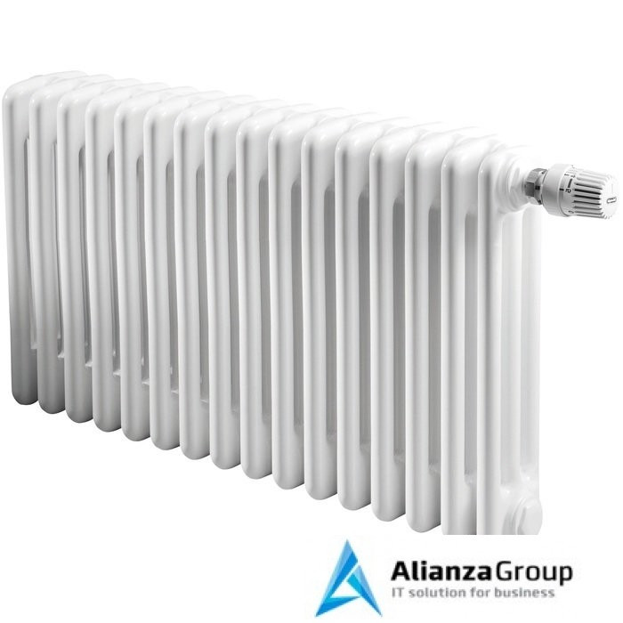 Стальной трубчатый радиатор 3-колончатый IRSAP TESI 30565/16 №25